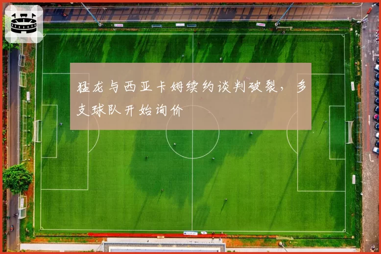 猛龙与西亚卡姆续约谈判破裂，多支球队开始询价