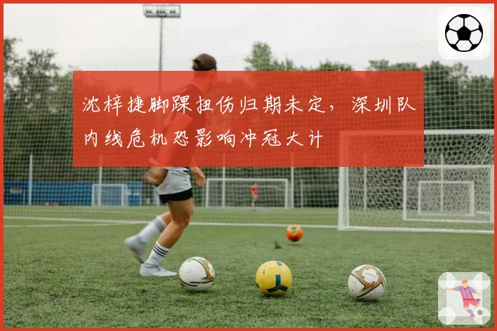 沈梓捷脚踝扭伤归期未定,深圳队内线危机恐影响冲冠大计