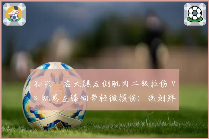 孙兴慜右大腿后侧肌肉二级拉伤 vs 凯恩左膝韧带轻微损伤:热刺拜仁核心恢复进度差异