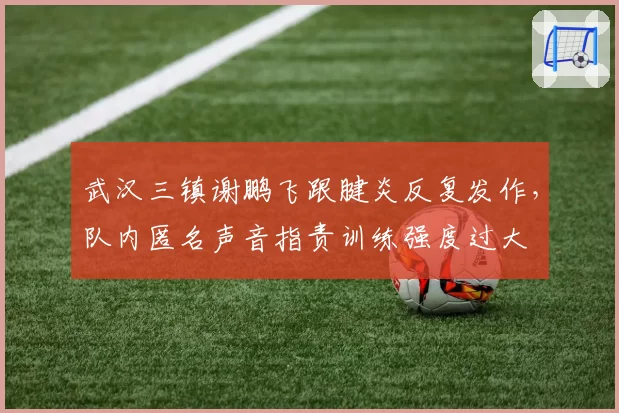 武汉三镇谢鹏飞跟腱炎反复发作,队内匿名声音指责训练强度过大