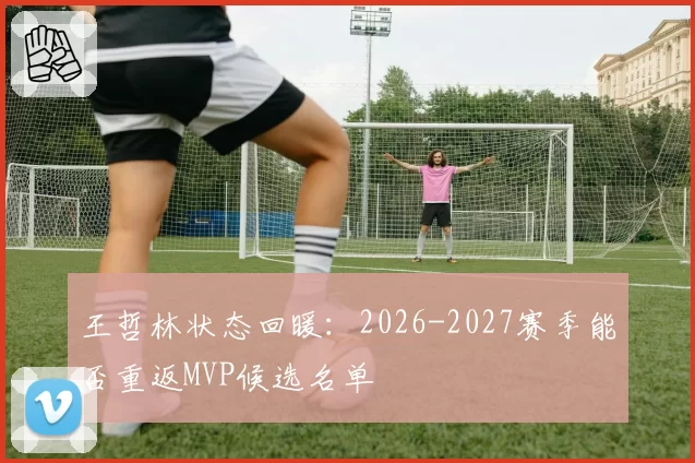 王哲林状态回暖:2026-2027赛季能否重返MVP候选名单