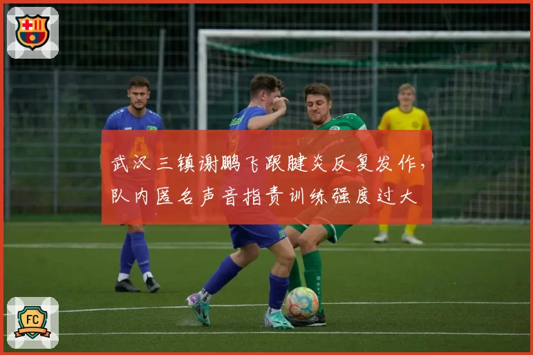 武汉三镇谢鹏飞跟腱炎反复发作,队内匿名声音指责训练强度过大